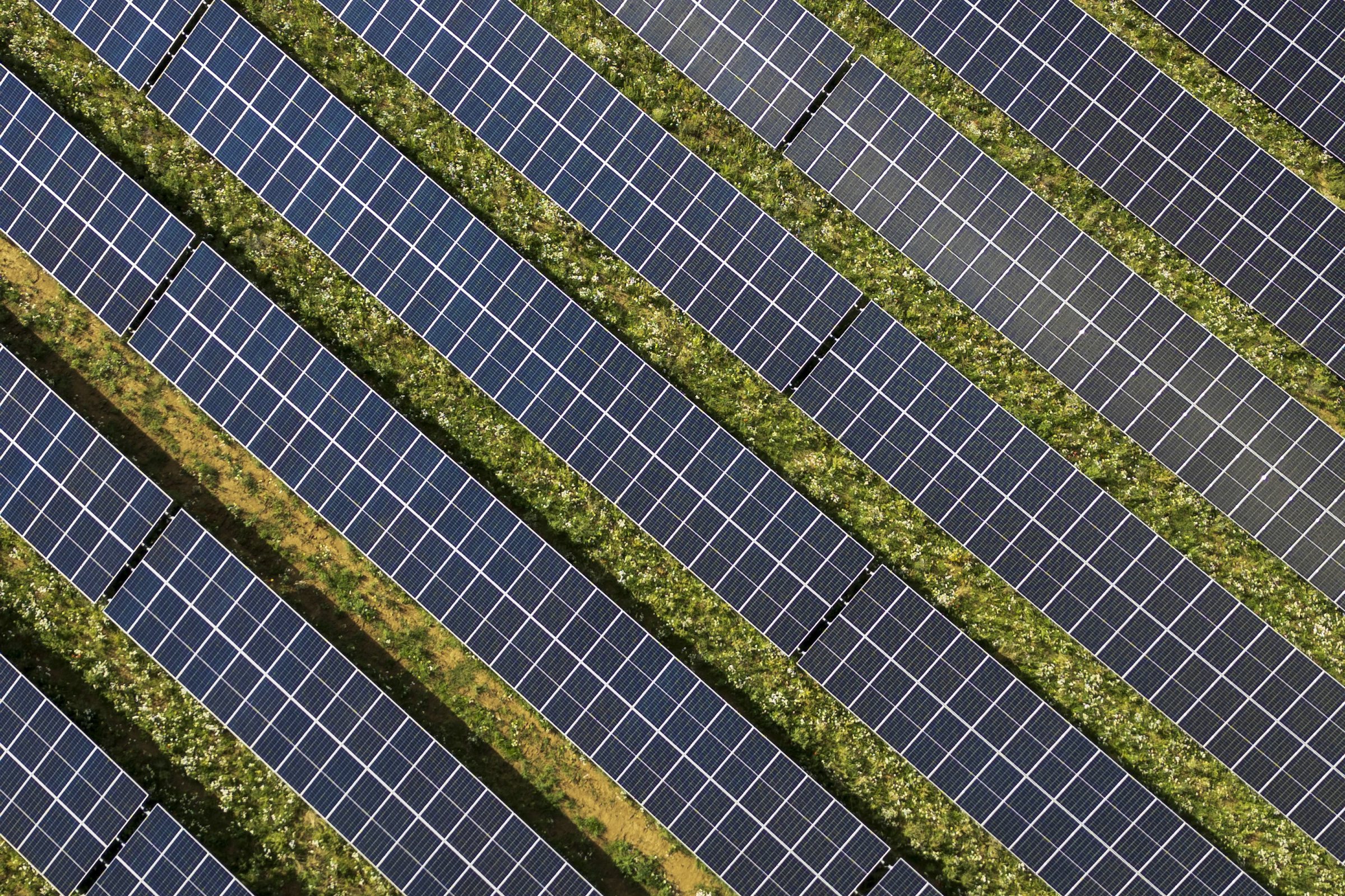 Aerial view of long rows of solar panels separated by strips of grass
