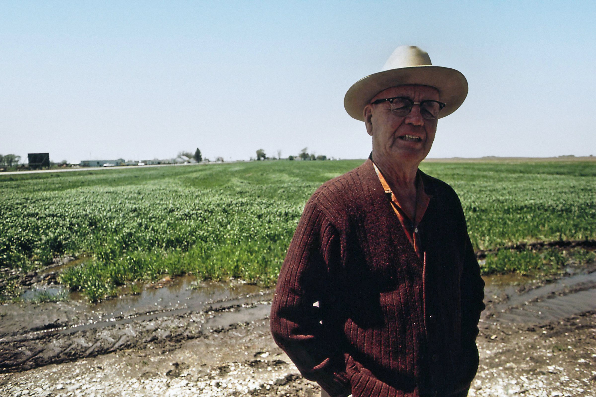 An older farmer in a straw hat and glasses standing at the edge of a green field